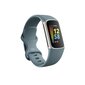 Fitbit Charge 5 Steel Blue/Platinum FB421SRBU цена и информация | Fitnesa aproces | 220.lv