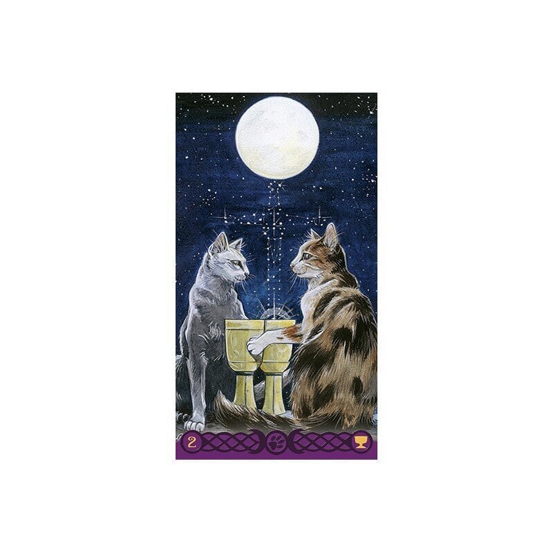 Taro kārtis Tarot Of Pagan Cats cena un informācija | Ezotērika | 220.lv