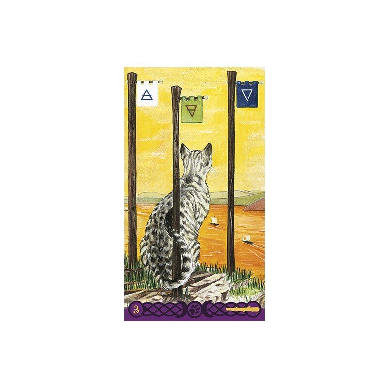 Taro kārtis Tarot Of Pagan Cats cena un informācija | Ezotērika | 220.lv