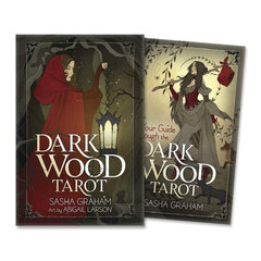 Карты Таро Dark Wood Tarot цена и информация | Эзотерика | 220.lv