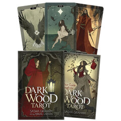 Карты Таро Dark Wood Tarot цена и информация | Эзотерика | 220.lv