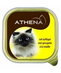 Kaķu konservi ar mājputnu gaļu Athena, 100 g, 20 gab. cena un informācija | Konservi kaķiem | 220.lv