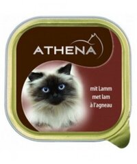 Консервы с бараниной Athena Cat, 100 г - 20 шт. цена и информация | Консервы для котов | 220.lv