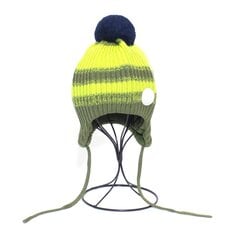Зимняя шапка для мальчиков Reima, зеленая цена и информация | Зимняя одежда для детей | 220.lv