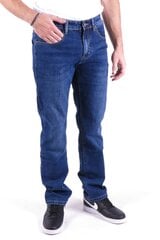 Vīriešu džinsu bikses EVIN VG1695, zilas цена и информация | Мужские джинсы | 220.lv