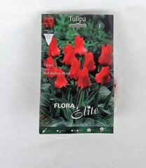 Tulpes Red Riding Hood, 10 gab. цена и информация | Луковичные цветы | 220.lv