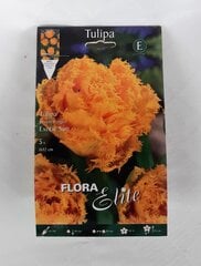 Tulpes Exotic Sun, 5 gab. cena un informācija | Sīpolpuķes | 220.lv