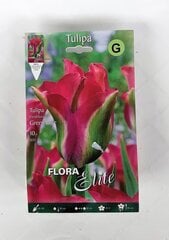 Tulpes Green Love, 10 gab. cena un informācija | Sīpolpuķes | 220.lv