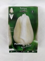 Tulpes White Prince, 10 gab. cena un informācija | Sīpolpuķes | 220.lv