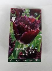 Tulpes Purple Crystal, 10 gab. cena un informācija | Sīpolpuķes | 220.lv