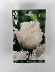 Tulpes Honeymoon, 10 gab. cena un informācija | Sīpolpuķes | 220.lv