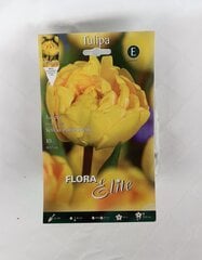 Tulpes Yellow Pomponette, 10 gab. цена и информация | Луковичные цветы | 220.lv