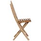 Saliekamie dārza krēsli ar spilveniem, 2 gab., brūni cena un informācija | Dārza krēsli | 220.lv