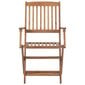 Saliekamie dārza krēsli ar spilveniem, 2 gab., brūni cena un informācija | Dārza krēsli | 220.lv