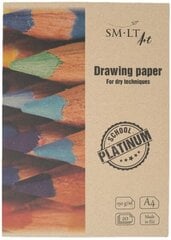 Zīmēšanas papīrs mapē SM-LT Platinum, A4, 170 g/m2, 20 lapas цена и информация | Тетради и бумажные товары | 220.lv