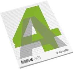 Отрывные листы Esselte, A4 60г/м 100 листов цена и информация | Тетради и бумажные товары | 220.lv