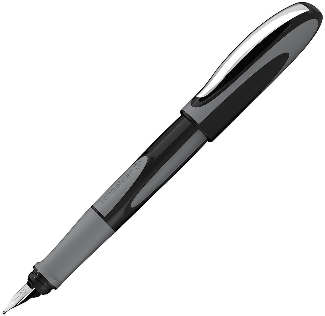 Pildspalva ar spalvu SCHNEIDER Ray, pelēkas krāsas korpuss cena un informācija | Rakstāmpiederumi | 220.lv