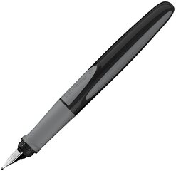 Pildspalva ar spalvu SCHNEIDER Ray, pelēkas krāsas korpuss cena un informācija | Rakstāmpiederumi | 220.lv