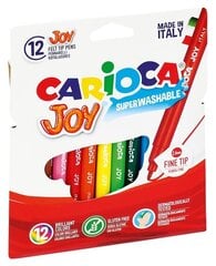 Фломастеры Carioca Joy, 12 цветов цена и информация | Принадлежности для рисования, лепки | 220.lv