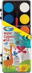 Akvarelis CENTRUM, 12 krāsas cena un informācija | Modelēšanas un zīmēšanas piederumi | 220.lv