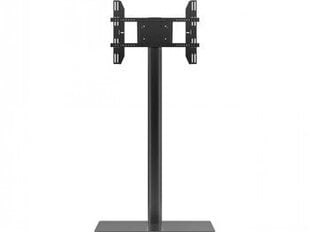 Grīdas statīvs displejam MB Display Stand 180 Single Floorbase cena un informācija | TV kronšteini | 220.lv