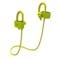 Беспроводные спортивные наушники Celly SPORTPRO Bluetooth® цена и информация | Наушники | 220.lv