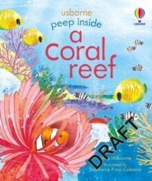 Peep inside a Coral Reef цена и информация | Enciklopēdijas, uzziņu literatūra | 220.lv