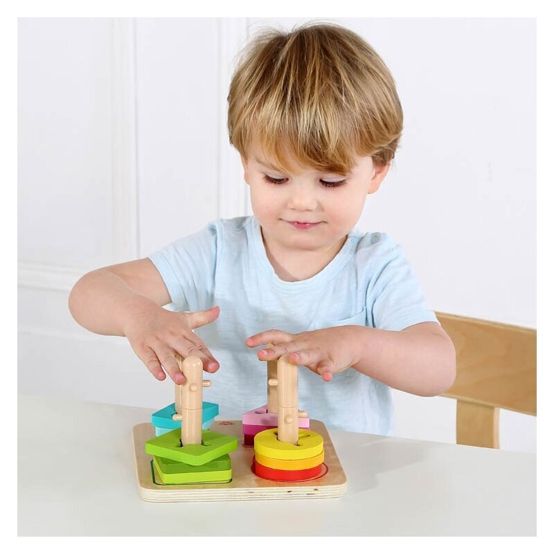 Izglītojošs koka šķirotājs - puzle, Tooky Toy цена и информация | Rotaļlietas zīdaiņiem | 220.lv