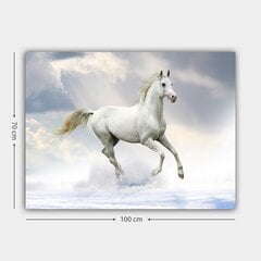 Reprodukcija Balts zirgs cena un informācija | Gleznas | 220.lv