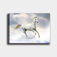 Репродукция Белая лошадь цена и информация | Картины | 220.lv