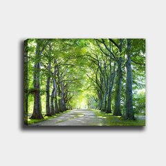 Репродукция на холсте Аллея зеленых деревьев цена и информация | Картины | 220.lv