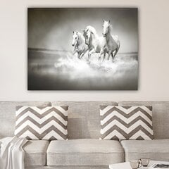 Reprodukcija uz audekla Baltie zirgi цена и информация | Картины | 220.lv