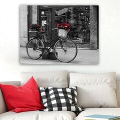 Репродукция на холсте Велосипед с цветами цена и информация | Картины | 220.lv