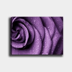 Reprodukcija uz audekla Violeta roze cena un informācija | Gleznas | 220.lv