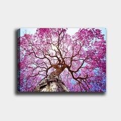 Репродукция на холсте Цветущее дерево цена и информация | Картины | 220.lv