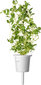 Click & Grow PPMIPX9 cena un informācija | Diedzēšanas trauki, augu lampas | 220.lv