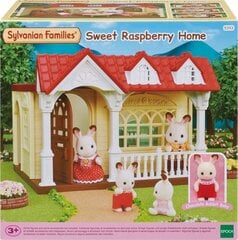 Дачный домик Sylvanian families цена и информация | Развивающие игрушки | 220.lv