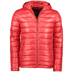 Куртка мужская Anapurna Calender, красная цена и информация | Мужские куртки | 220.lv