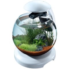 TETRA akvārijs Cascade Globe, 6.8 L cena un informācija | Akvāriji un aprīkojums | 220.lv