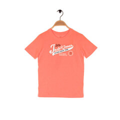 T krekls zēniem ar īsām piedurknēm Jack&Jones цена и информация | Рубашки для мальчиков | 220.lv