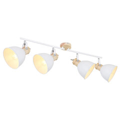 Lustra Globo Lighting WIHO 54018-4 цена и информация | Потолочные светильники | 220.lv