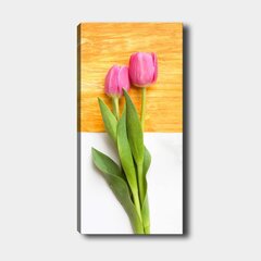 Холст, тюльпаны в цвету 39,99 цена и информация | Картины | 220.lv