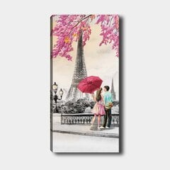 Репродукция Пара в Париже цена и информация | Картины | 220.lv