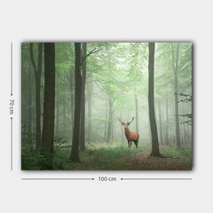 Репродукция Олень в лесу цена и информация | Картины | 220.lv