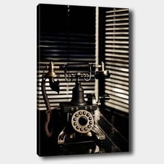 Репродукция на холсте Старинный телефон цена и информация | Картины | 220.lv