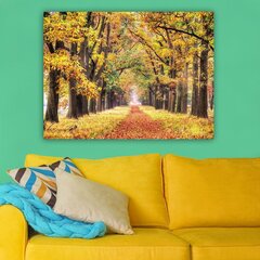 Репродукция на холсте Осенняя аллея деревьев цена и информация | Картины | 220.lv