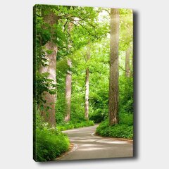 Репродукция на холсте Зеленый лес цена и информация | Картины | 220.lv