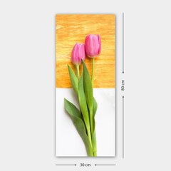 Холст, тюльпаны в цвету 39,99 цена и информация | Картины | 220.lv