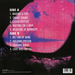 Foo Fighters - Medicine At Midnight, LP, виниловая пластинка, 12" vinyl record цена и информация | Виниловые пластинки, CD, DVD | 220.lv