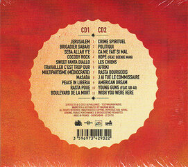 Alpha Blondy - Best Of Alpha Blondy, 2CD, Digital Audio Compact Disc cena un informācija | Vinila plates, CD, DVD | 220.lv